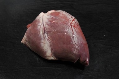 coeur agneau.jpg
